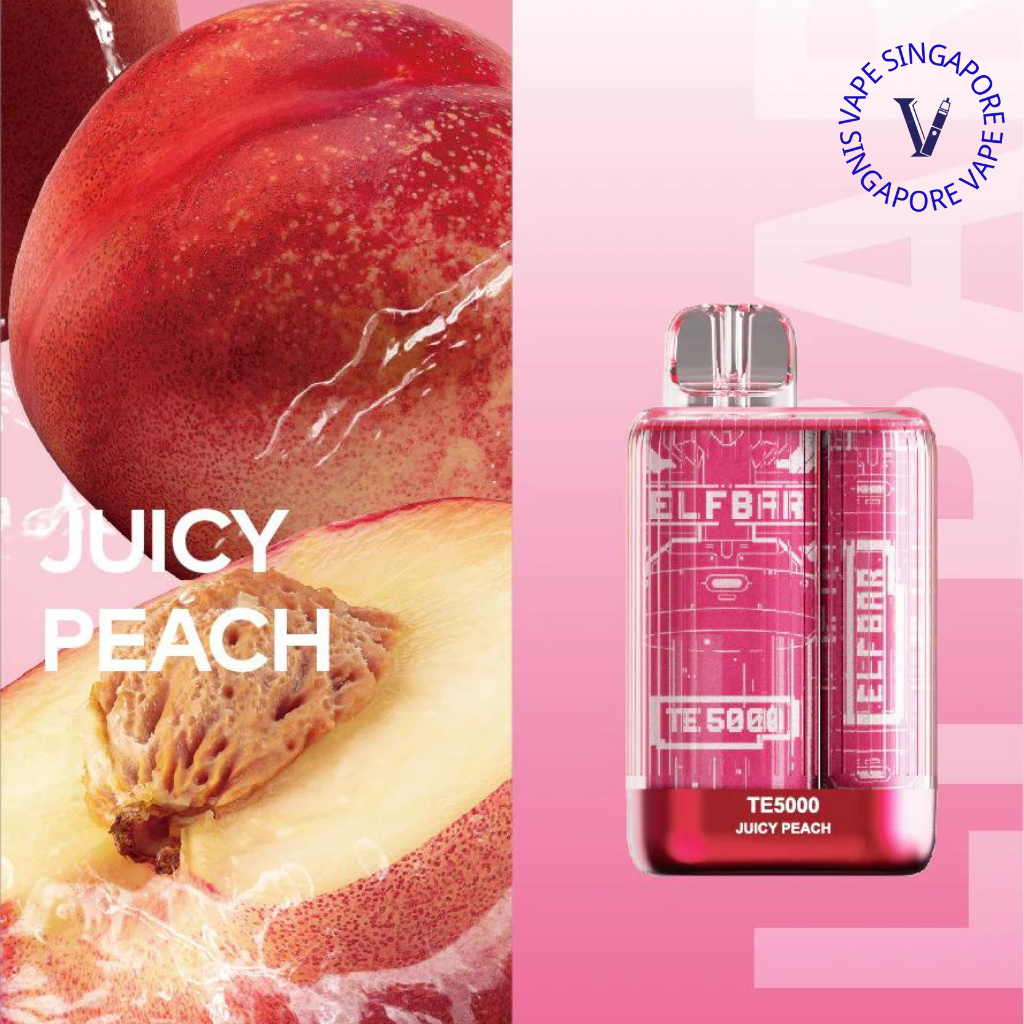 Elf Bar TE 6000 Puff (Elf Bar BC) - Vape Singapore SG Vape