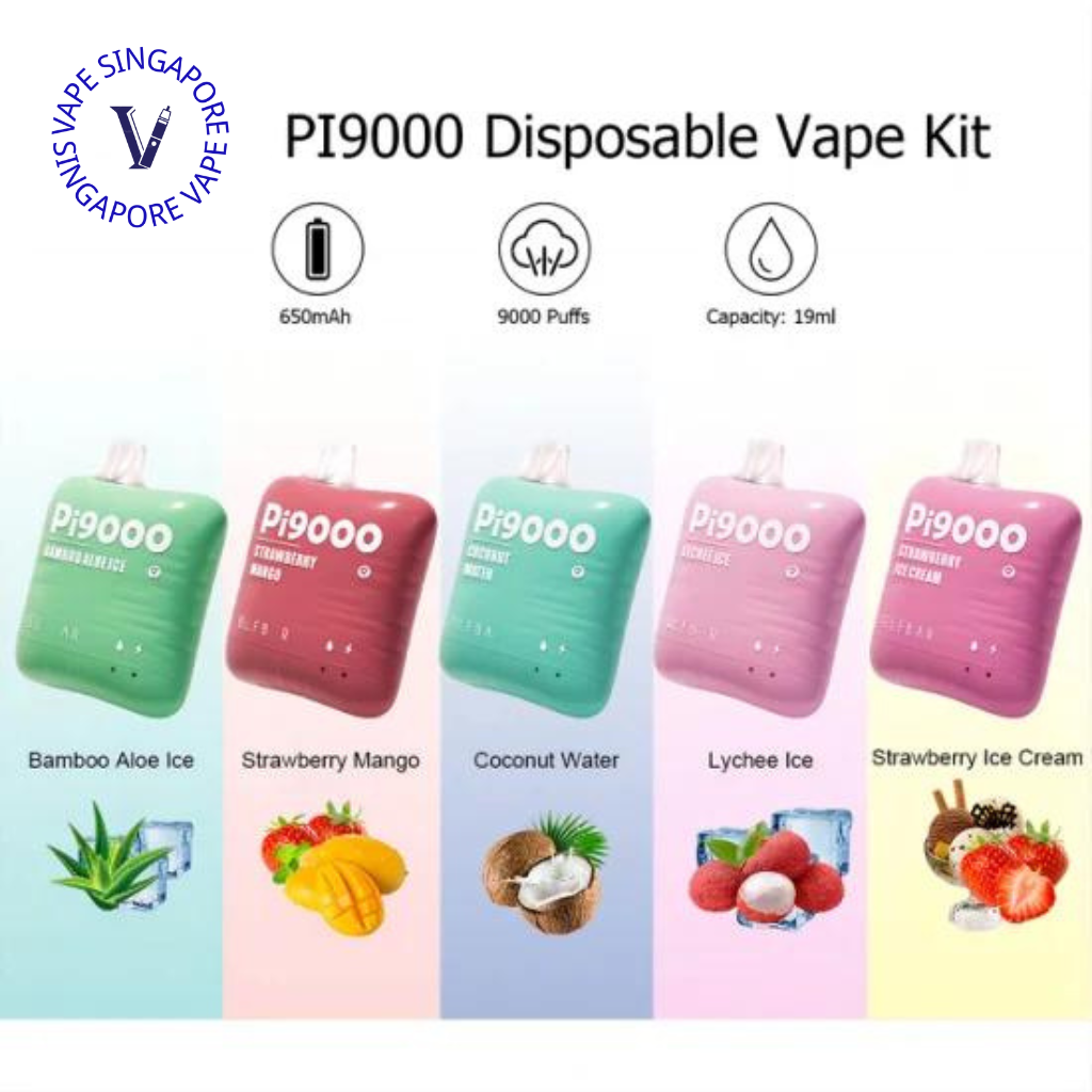 Elf Bar PI 9000 Puff Disposable Vape (Elf Bar BC) - Vape Singapore SG Vape