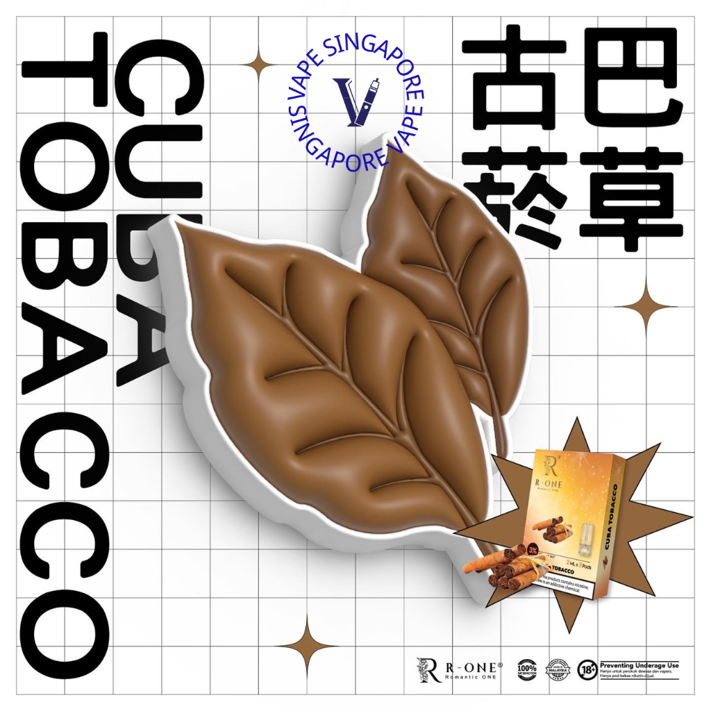 R-one Pod - Vape Singapore SG Vape